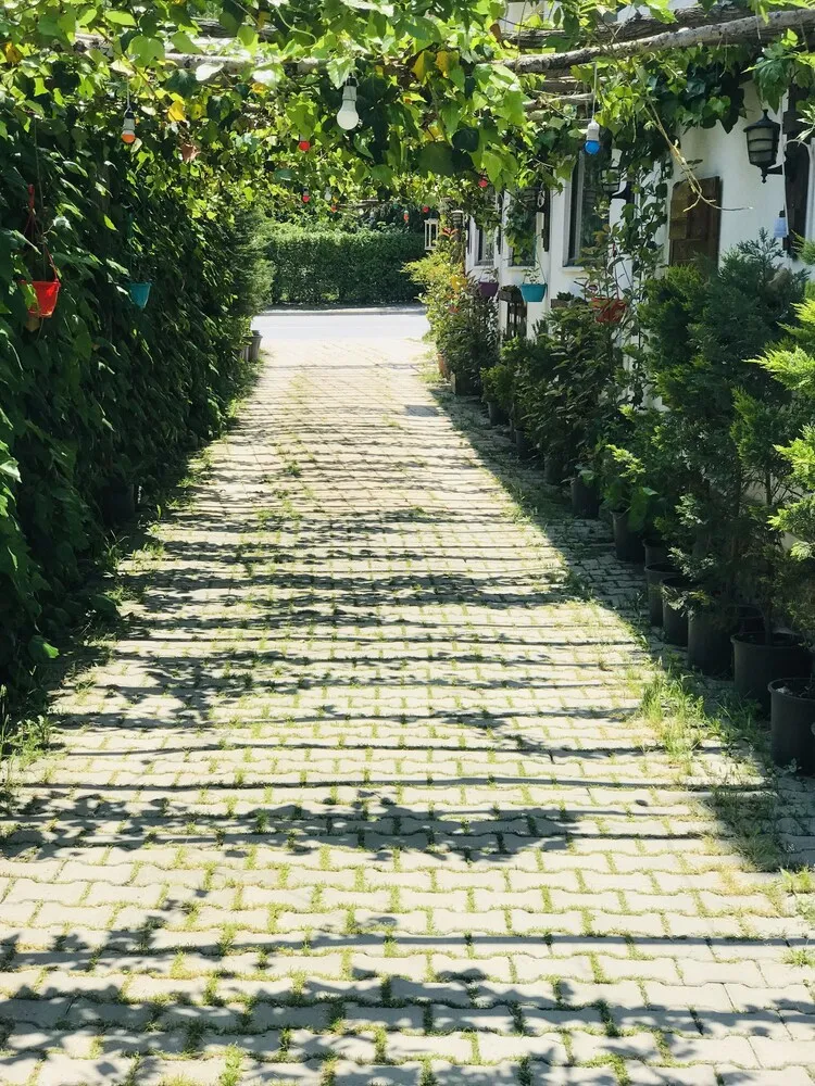 Standard Tek Büyük veya İki Ayrı Yataklı Oda