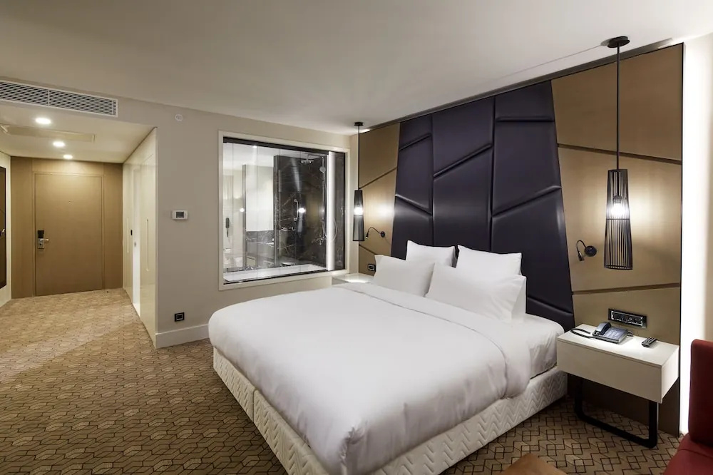 Executive Oda, Şehir Manzaralı (Lounge Access)