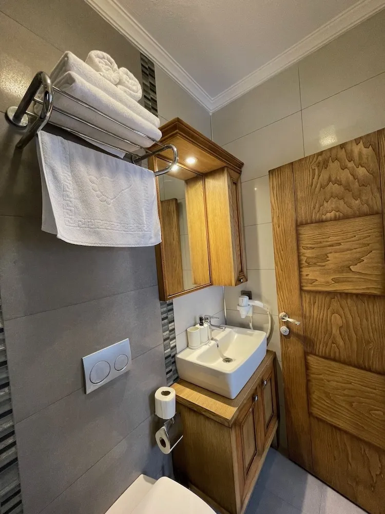 Standard Tek Büyük Yataklı Oda, Şehir Manzaralı