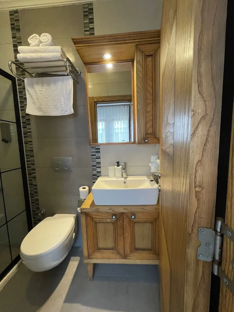 Standard Tek Büyük Yataklı Oda, Şehir Manzaralı