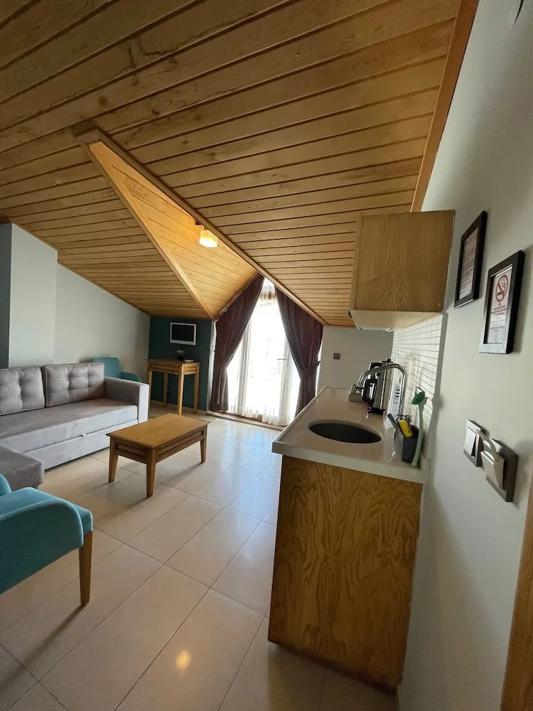 Deluxe Çatı Katı (Loft), 1 Büyük (Queen) Boy Yatak ve Çekyat, Sigara İçilmez, Deniz Manzaralı
