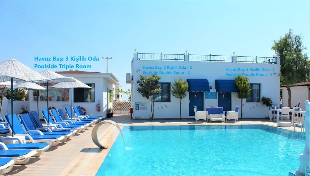 Economy Oda, 1 Çift Kişilik Yatak, Sigara İçilmez, Havuz Manzaralı 1