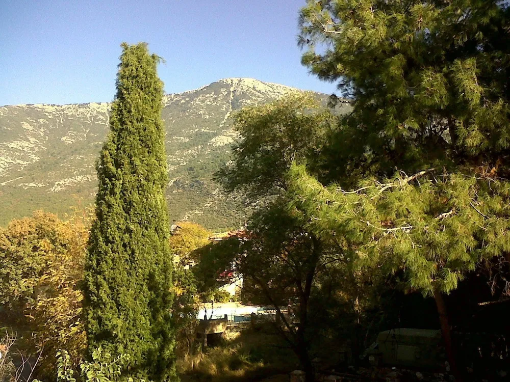 Superior Apart Daire, 1 Yatak Odası