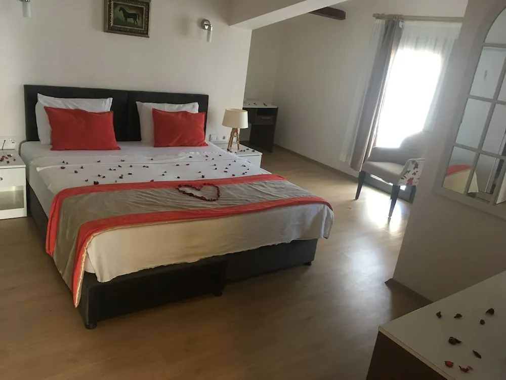 Standard Tek Büyük Yataklı Oda, 1 Çift Kişilik Yatak