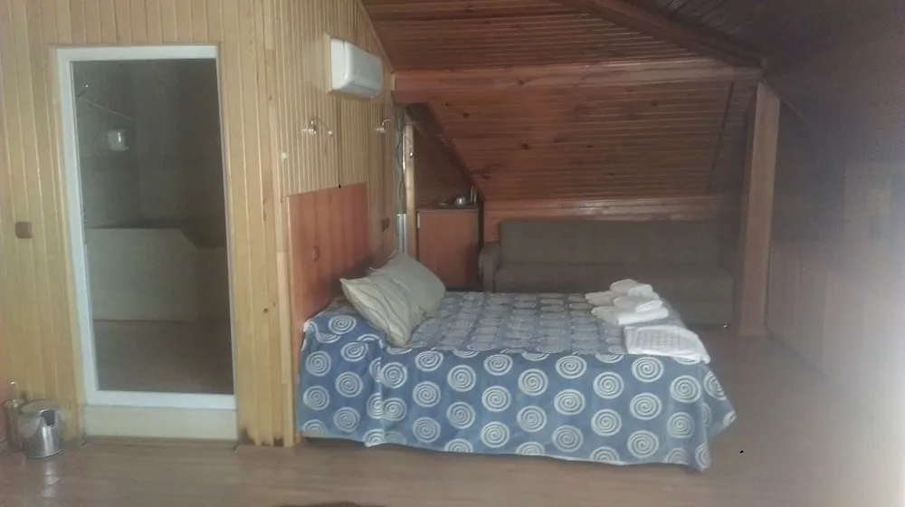 Comfort Çatı Katı (Loft), Sigara İçilebilir, Özel Banyo