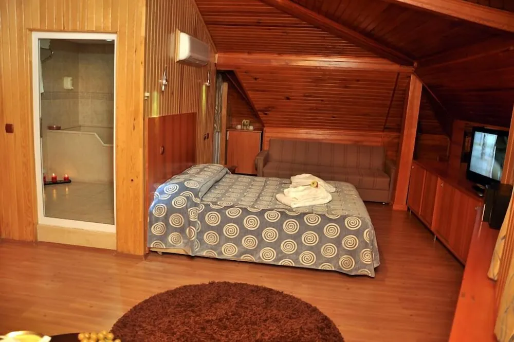 Comfort Çatı Katı (Loft), Sigara İçilebilir, Özel Banyo