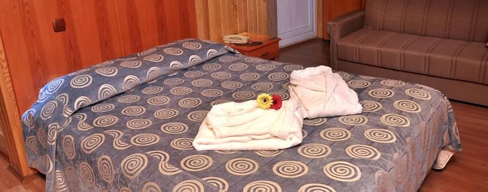 Comfort Çatı Katı (Loft), Sigara İçilebilir, Özel Banyo