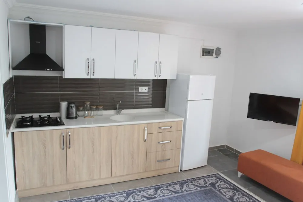 Studio Family Room with Kitchen