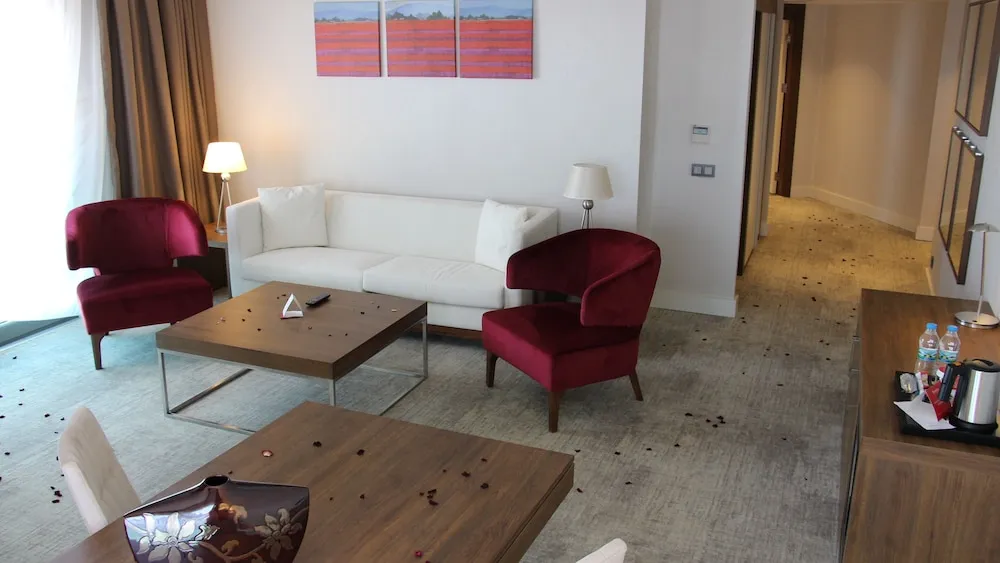 Business Oda, Birden Çok Yatak, Sigara İçilebilir