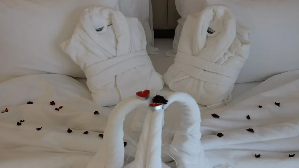 Business Oda, Birden Çok Yatak, Sigara İçilebilir