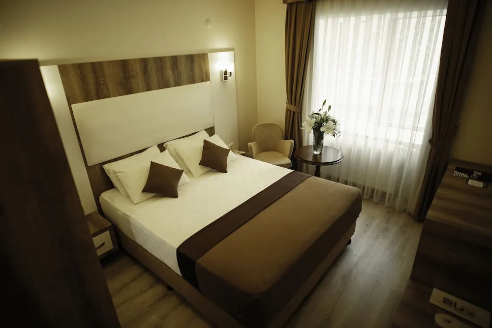 Standard Tek Büyük Yataklı Oda, 1 Büyük (Queen) Boy Yatak, Sigara İçilmez, Şehir Manzaralı