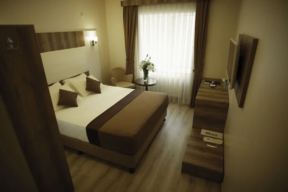 Standard Tek Kişilik Oda, 1 Çift Kişilik Yatak, Sigara İçilmez, Şehir Manzaralı