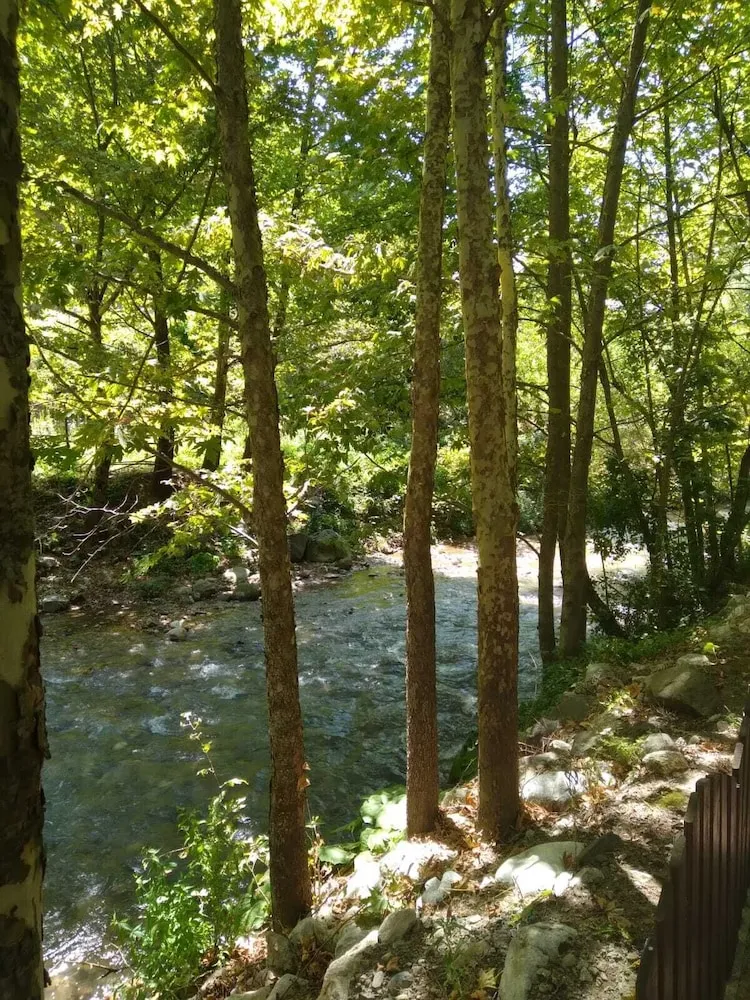 Comfort Oda, Özel Banyo, Nehir Manzaralı