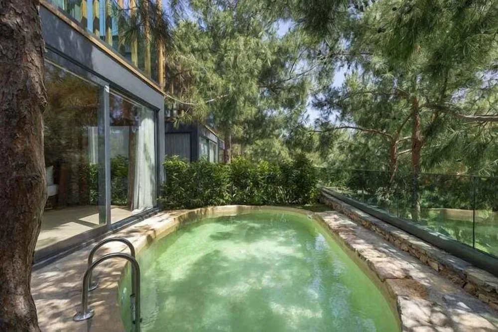 Forest Villa 3 Bedroom