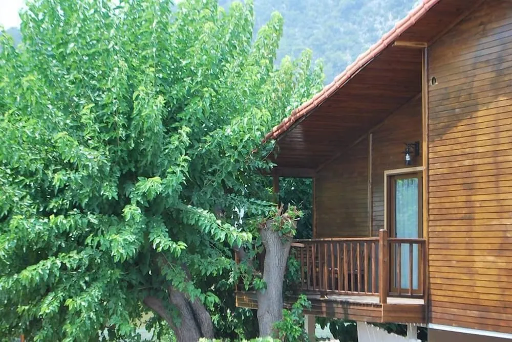Stüdyo, Mutfak, Bahçe Manzaralı
