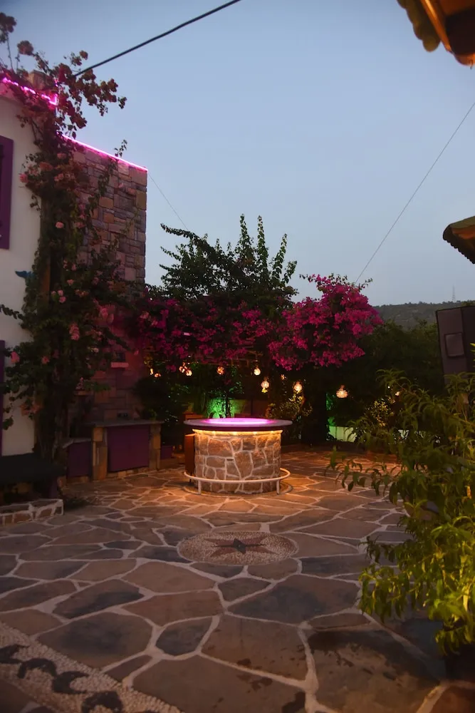 Barbekü/piknik alanı