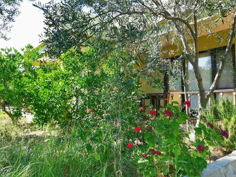 Üç Kişilik Oda