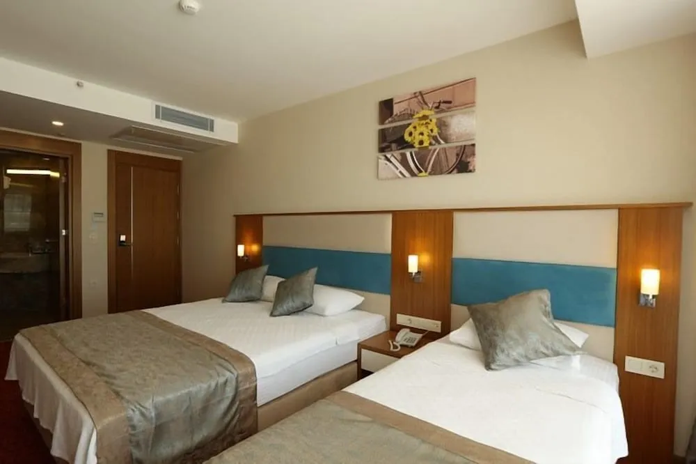 Mountain View Room