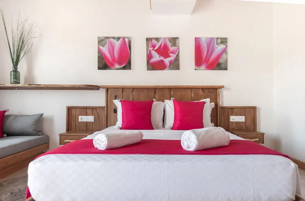 Standard Tek Büyük Yataklı Oda, 1 Büyük (Queen) Boy Yatak, Sigara İçilmez, Dağ Manzaralı