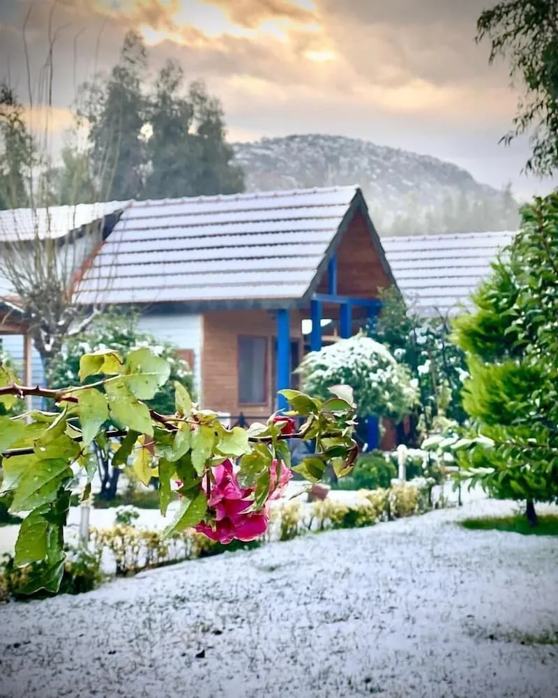 Classic Ağaç Ev, 1 Çift Kişilik Yatak ve Çekyat, Avlu Manzaralı, Bahçeli