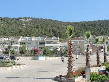 Ege Yıldızı