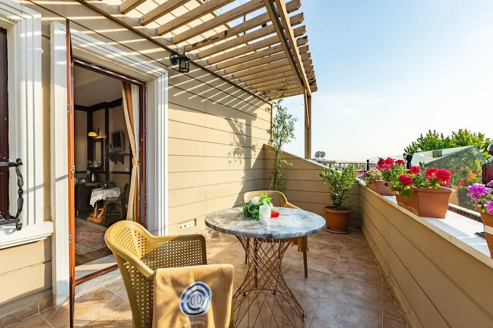 Superior Double Room with Terrace -15m2