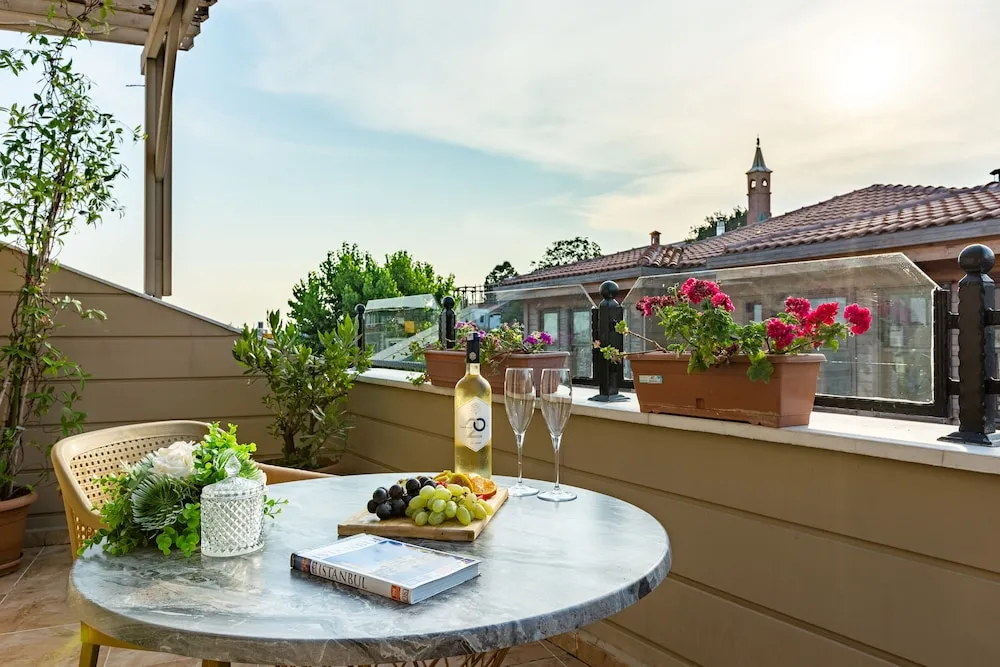 Superior Double Room with Terrace -15m2