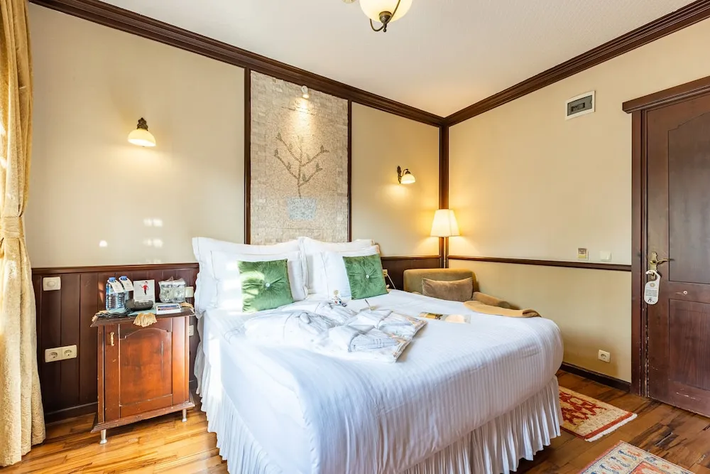 Superior Double Room with Terrace -15m2