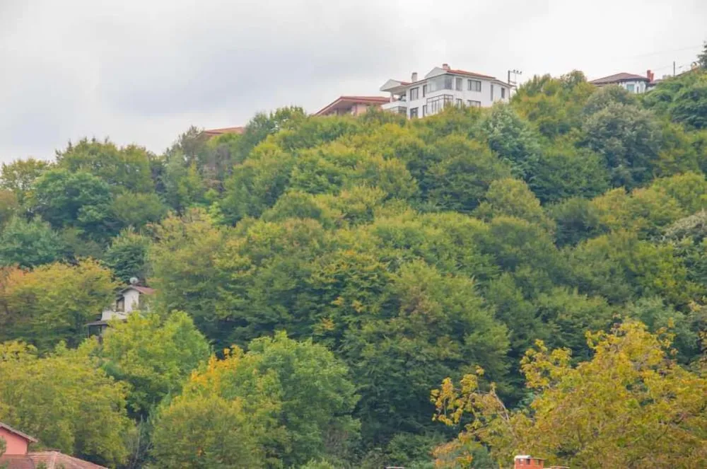 Standard Oda, 1 Büyük (Queen) Boy Yatak, Dağ Manzaralı