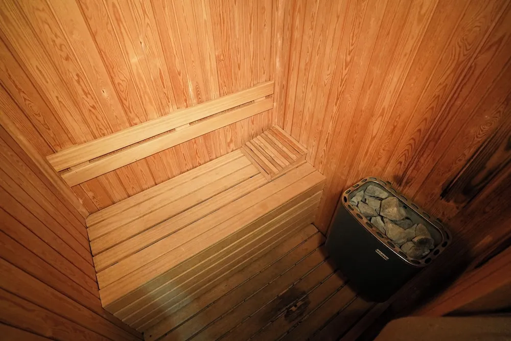 Deluxe Süit, 1 Yatak Odası, Sauna