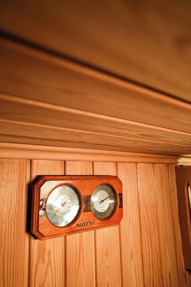 Deluxe Süit, 1 Yatak Odası, Sauna