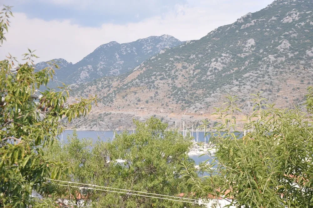 Standard Oda, Bahçe Manzaralı