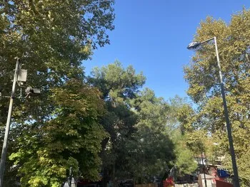 Edirne Adres Karaağaç