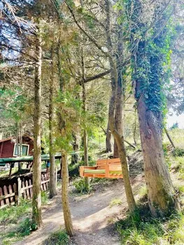 Ağva Orman Evleri Forest Lodge