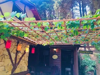 Ağva Orman Evleri Forest Lodge