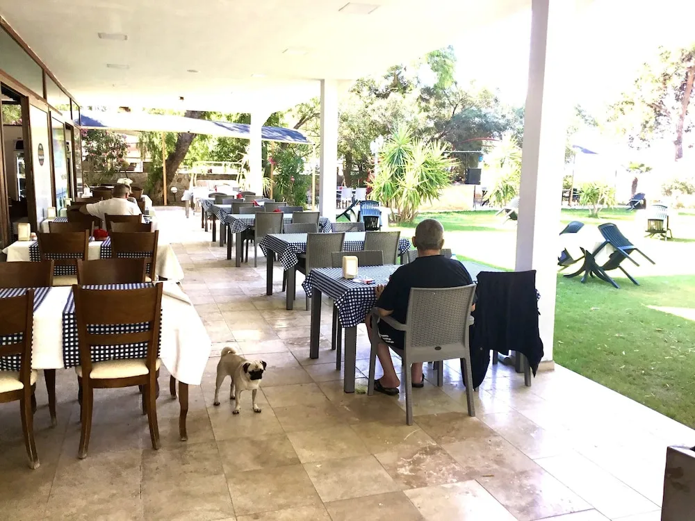 Standard Oda, 1 Çift Kişilik veya 2 Tek Kişilik Yatak, Bahçe Manzaralı