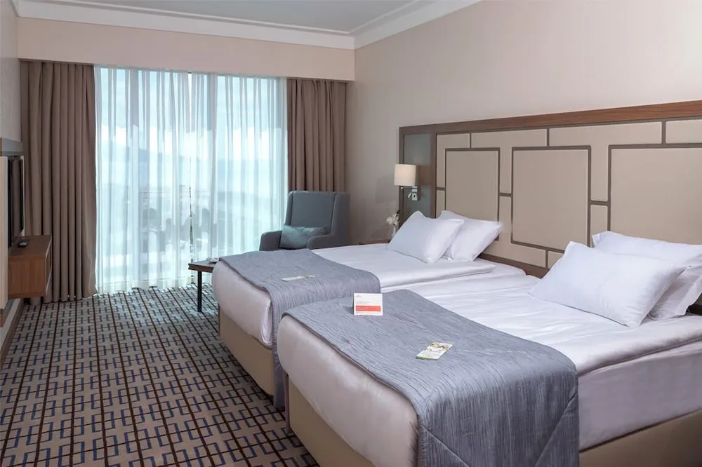Deluxe İki Ayrı Yataklı Oda, 2 Tek Kişilik Yatak, Sigara İçilmez, Şehir Manzaralı