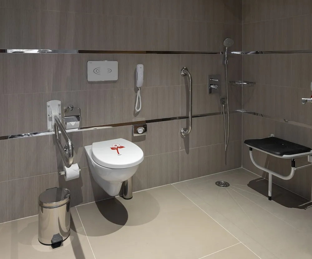 Deluxe Tek Büyük Yataklı Oda, 1 En Büyük (King) Boy Yatak, Engellilere Uygun, Sigara İçilmez