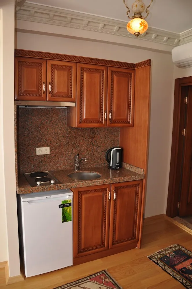 Superior Stüdyo Süit, 1 Çift Kişilik Yatak ve Çekyat, Şehir Manzaralı