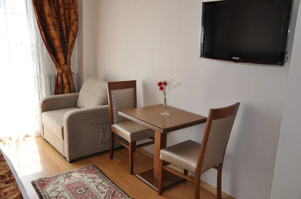 Superior Stüdyo Süit, 1 Çift Kişilik Yatak ve Çekyat, Şehir Manzaralı