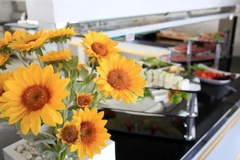 Guvenay Business Hotel