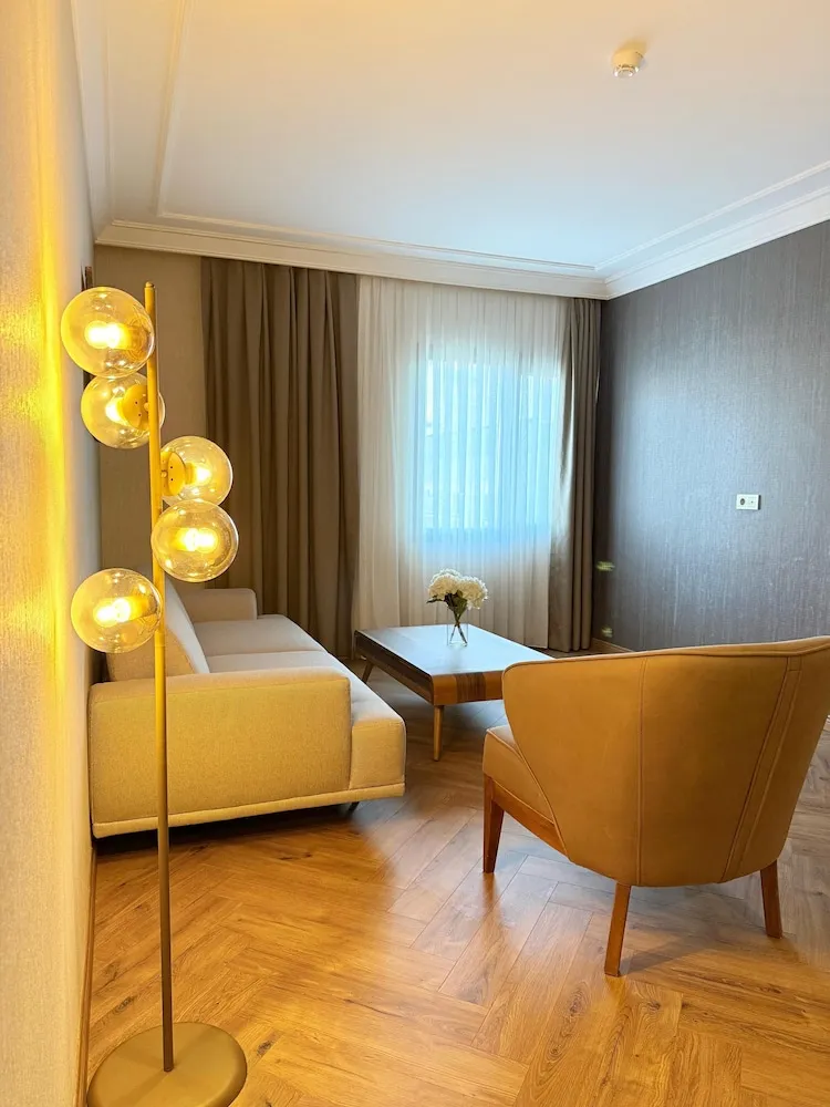 Senior Süit, 1 Çift Kişilik Yatak ve Çekyat, Sigara İçilmez, Şehir Manzaralı
