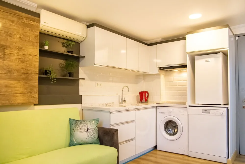 Business Çatı Katı Süiti (Penthouse)
