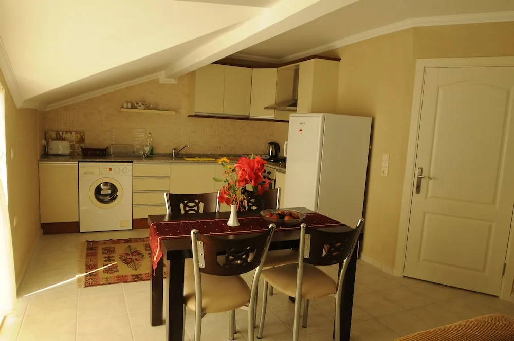 Çatı Katı Süiti (Penthouse)