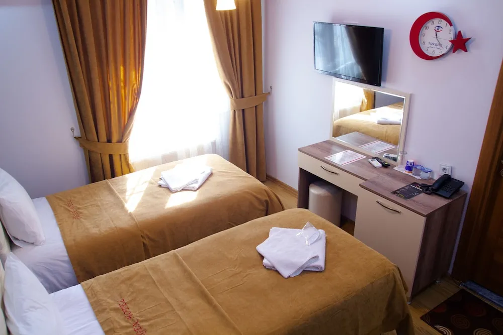 Deluxe Tek Büyük Yataklı Oda, 1 Yatak Odası, Buzdolabı, Şehir Manzaralı