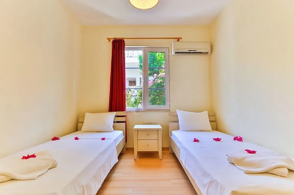 Süit