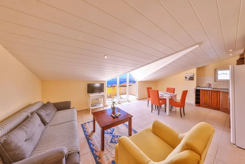 Çatı Katı Süiti (Penthouse)