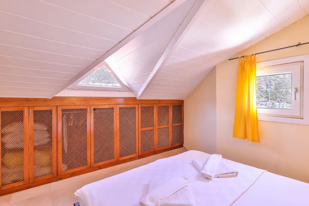 Çatı Katı Süiti (Penthouse)