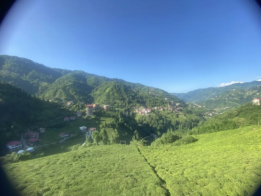 Bungalov, 1 Yatak Odası, Dağ Manzaralı