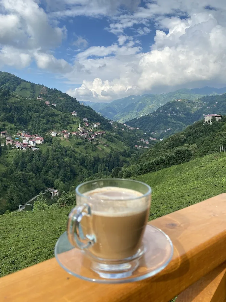 Bungalov, 1 Yatak Odası, Dağ Manzaralı